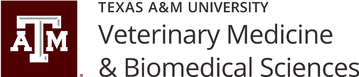 Texas A&M University